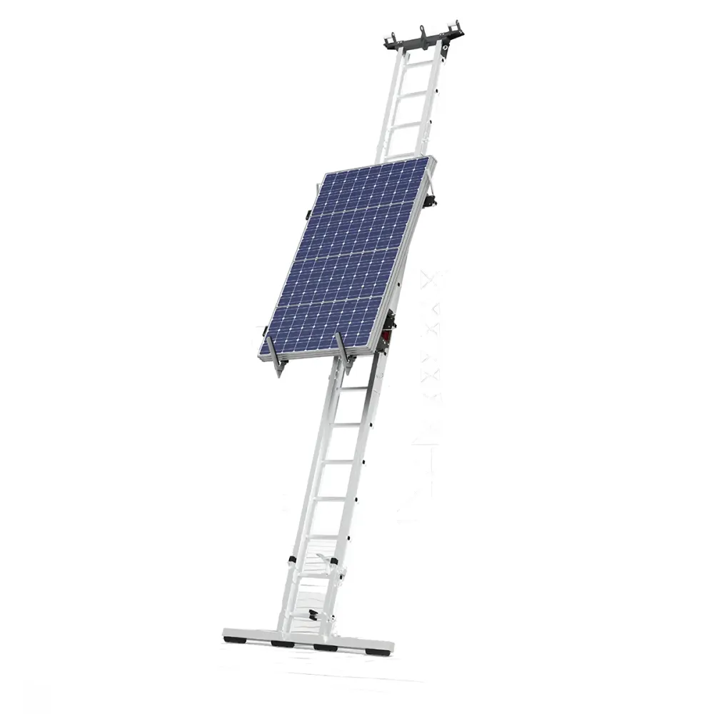 Ladder Hoists